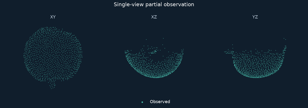 PFuji · Apple 010: Partial view