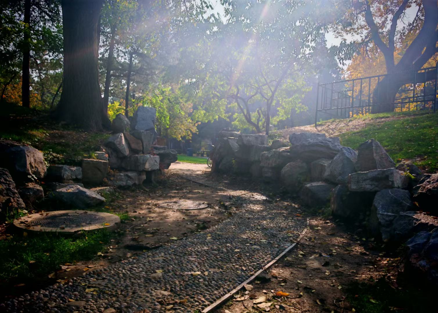 Sunlit garden path