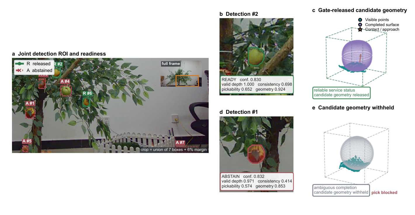 Seeing the Whole Apple: RGB-D Perception with Shape Completion project result